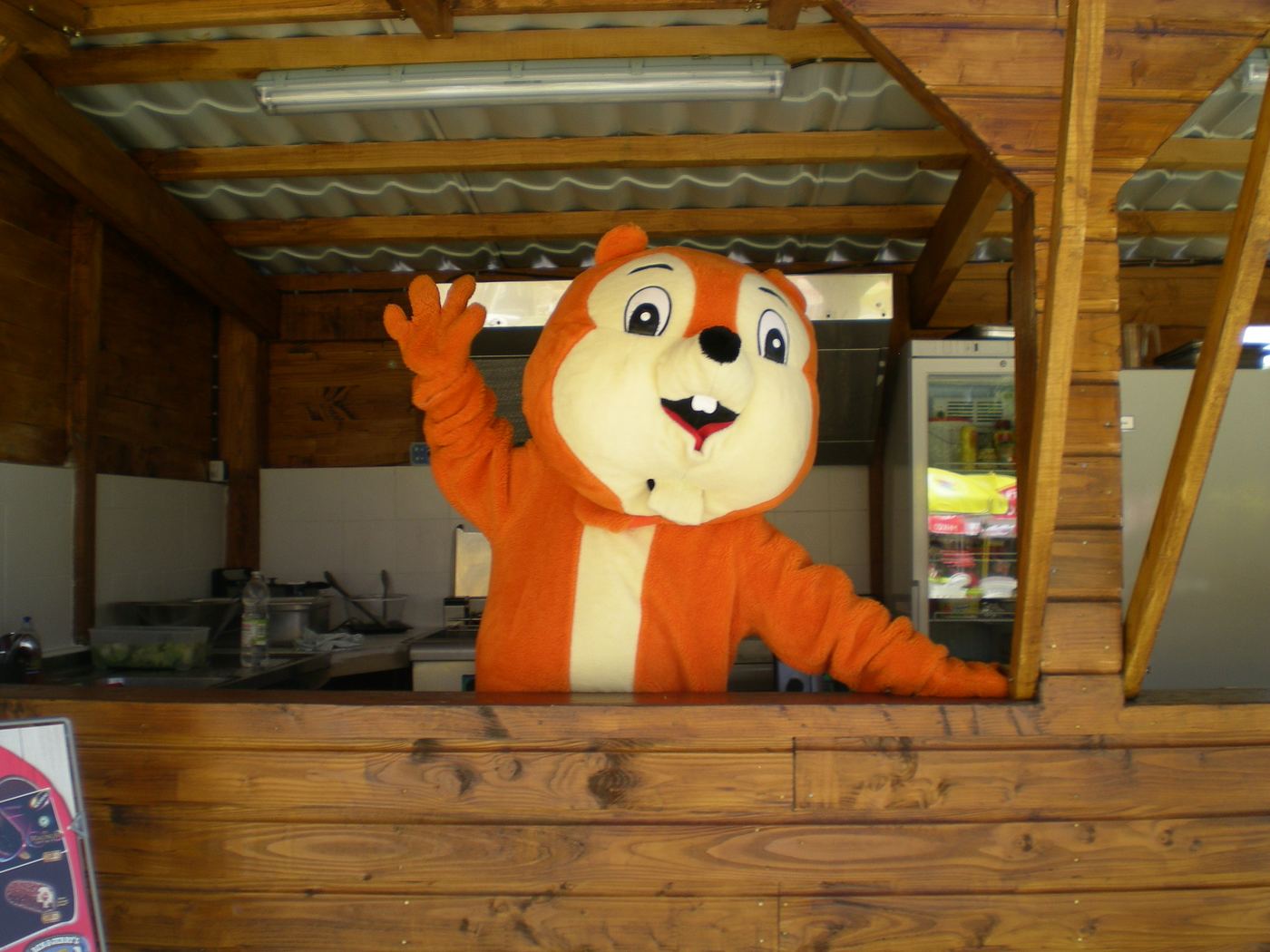 Comptoir du snack du parc